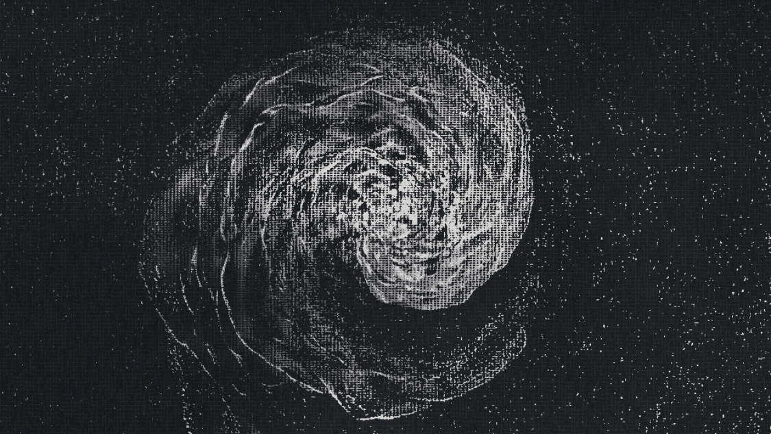 Cover Image for Asterium Prints