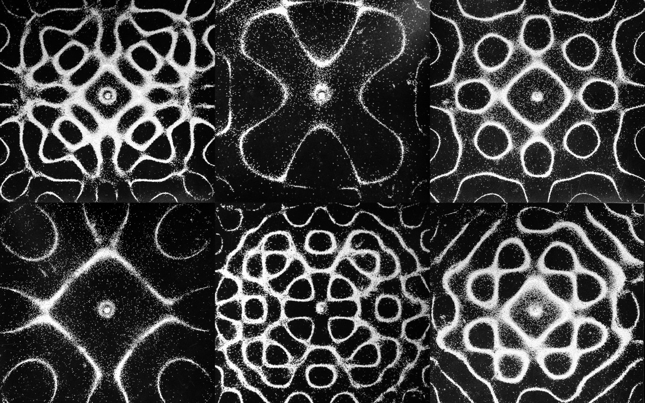 chladni plate example patterns